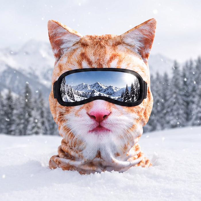 Chat Roux